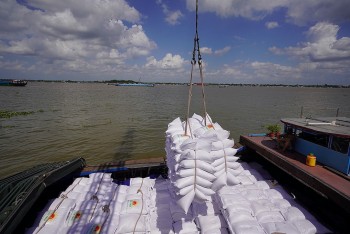 Giá gạo xuất khẩu của Việt Nam tăng nhẹ, vượt qua Ấn Độ