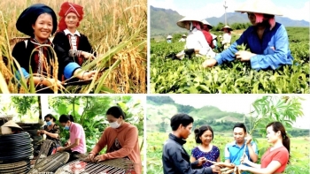 Không để xảy ra khoảng trống, vướng mắc trong thực hiện 3 chương trình mục tiêu quốc gia