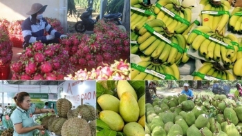 Xuất khẩu nông, lâm, thủy sản quý I/2025 tăng trên 13%