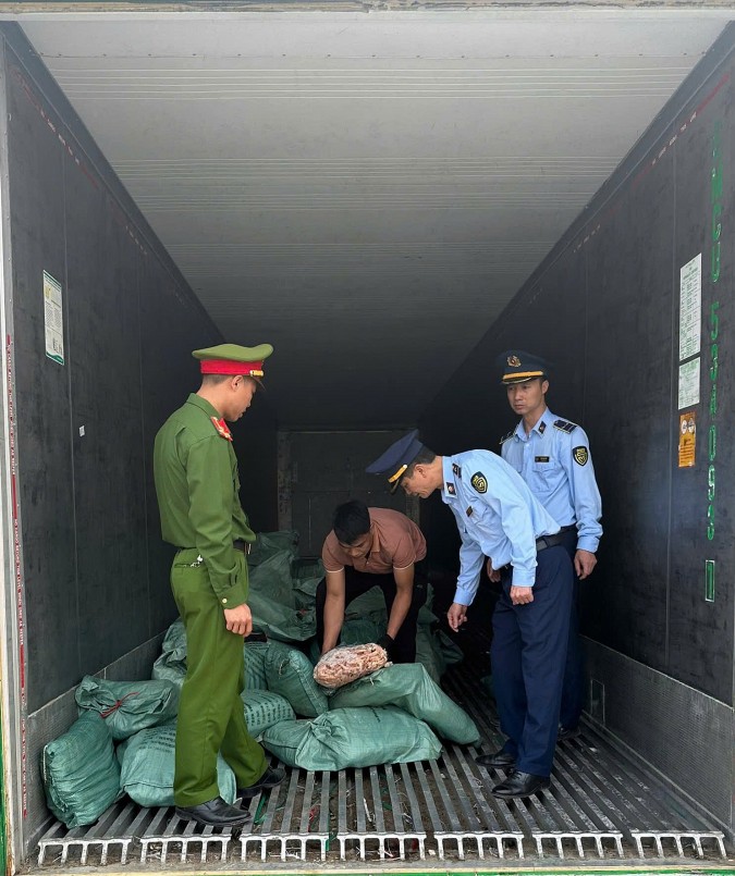 Kiểm tra hàng hóa không rõ nguồn gốc xuất xứ Kiểm tra hàng hóa không rõ nguồn gốc xuất xứ