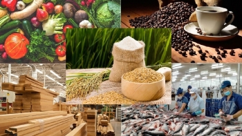 Hoa Kỳ “siết” tiêu chuẩn với hàng hóa nhập khẩu, Việt Nam chủ động ứng phó