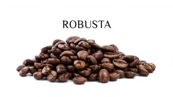 "Sắc xanh" bao phủ thị trường cà phê trong nước