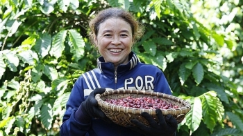 Cà phê là mặt hàng Mỹ cần nên xuất khẩu không đáng lo