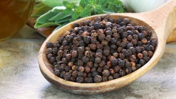 Giá tiêu giảm kỷ lục từ 6.000 đến 6.500 đồng/kg