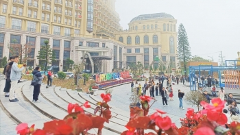 Vĩnh Phúc: Thị trấn Tam Đảo khởi sắc nhờ phát triển du lịch, dịch vụ