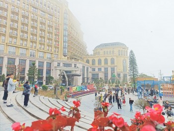 Vĩnh Phúc: Thị trấn Tam Đảo khởi sắc nhờ phát triển du lịch, dịch vụ