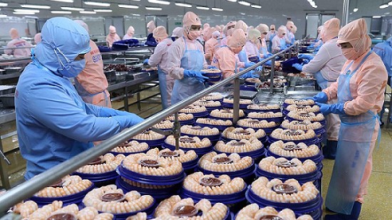 Mỹ áp thuế đối ứng 46% với Việt Nam: VASEP kiến nghị “khẩn” với Thủ tướng