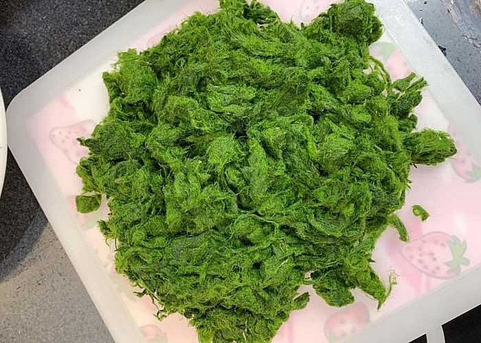 Rêu đá là món ăn đặc sắc, mang đậm dấu ấn ẩm thực vùng sông Đà của Phú Thọ.