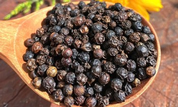 Thuế quan của Mỹ khiến giá tiêu đồng loạt giảm