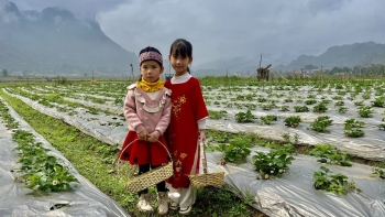 Chợ Đồn phát triển sản phẩm OCOP gắn với du lịch nông thôn