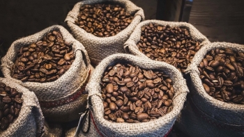 Giá cà phê tiếp tục lao dốc bởi đòn thuế quan của Mỹ