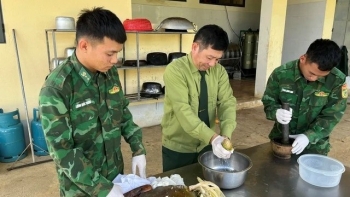 Quân y dùng bài thuốc dân gian từ con nhái cứu sống người bị ngộ độc lá ngón