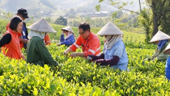 Mã số vùng trồng đưa nông sản chủ lực địa phương "bay" xa