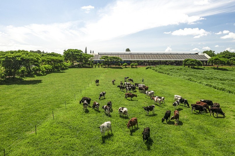 CEO Mai Kiều Liên nói gì sau 2 năm “chuyển mình” toàn diện của thương hiệu tỷ đô CEO Mai Kiều Liên nói gì sau 2 năm “chuyển mình” toàn diện của thương hiệu tỷ đô