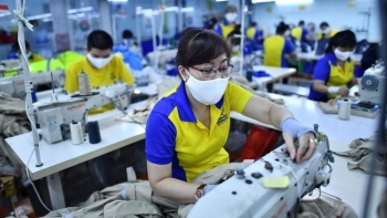 Doanh nghiệp Việt tận dụng "thời gian vàng" để xuất khẩu