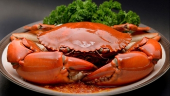 Những lợi ích sức khỏe đáng kinh ngạc của thịt cua