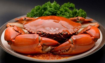 Những lợi ích sức khỏe đáng kinh ngạc của thịt cua