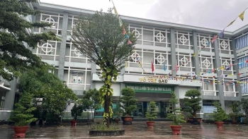 TP.HCM: Hơn 20 học sinh tiểu học đau bụng, nôn ói sau khi đi học về