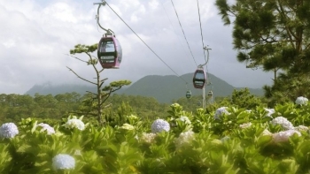 Đà Nẵng và Đà Lạt dẫn đầu xu hướng tìm kiếm dịp 30/4