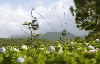 Đà Nẵng và Đà Lạt dẫn đầu xu hướng tìm kiếm dịp 30/4