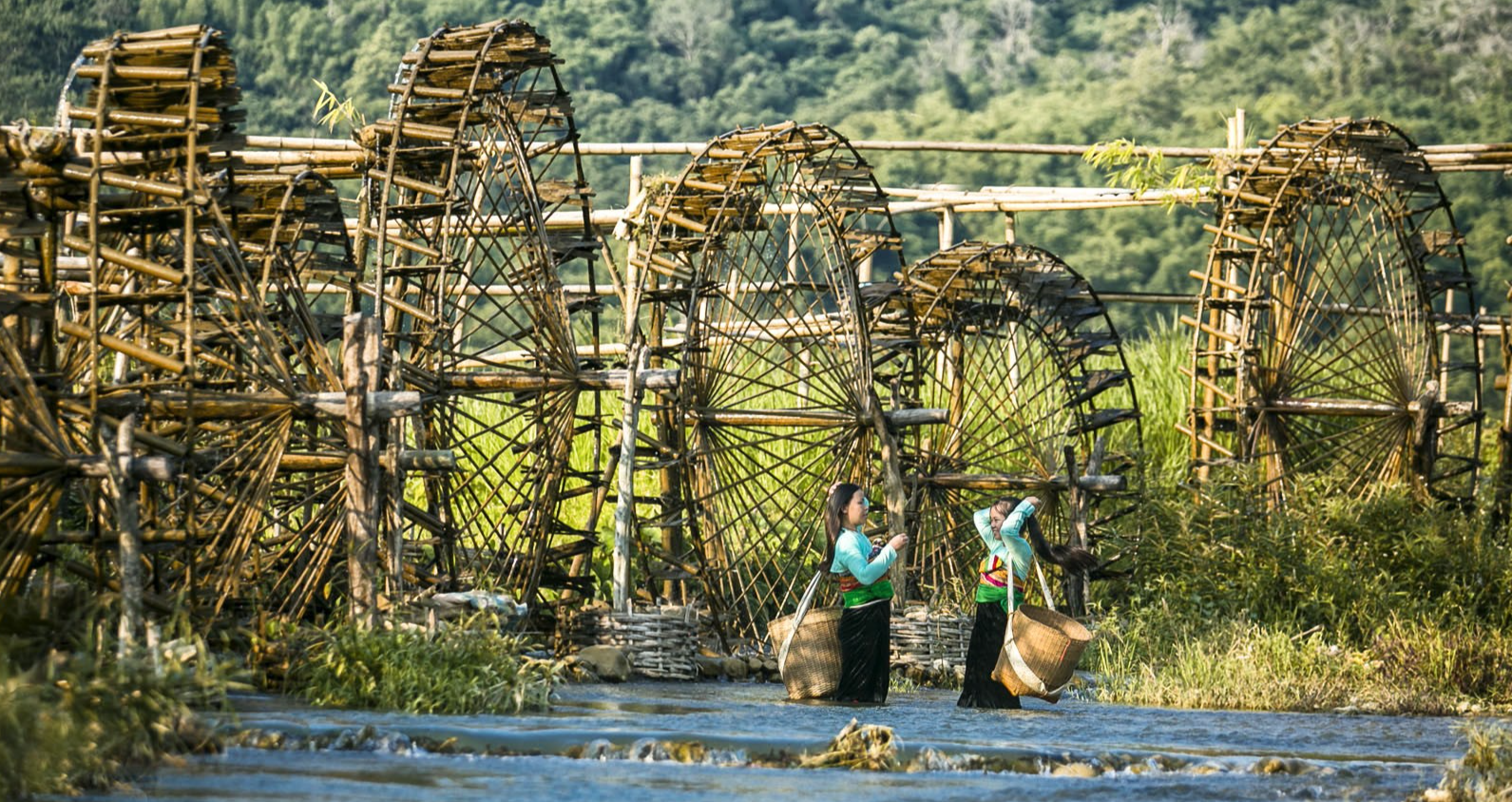Phát triển du lịch xanh: Con đường khó nhưng tất yếu bắt buộc phải đi!
