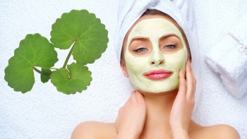Khám phá sức mạnh của rau má đối với làn da