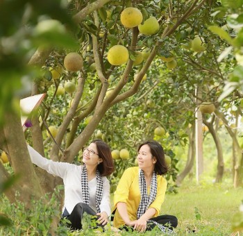 Phú Xuyên: Kết nối du lịch làng nghề với nông nghiệp trải nghiệm