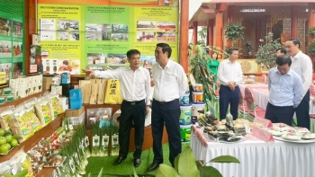 Tập trung phát triển sản phẩm OCOP ở Lâm Thao