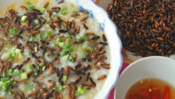 Độc đáo các món ăn từ mối của người Cơ Tu