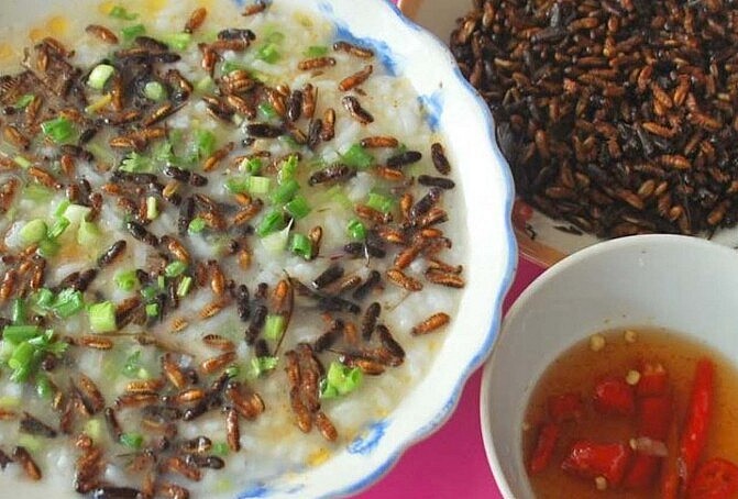 Cháo mối cánh thành đặc sản trong nhà hàng Cháo mối cánh thành đặc sản trong nhà hàng