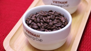 Giá cà phê bất ngờ quay đầu giảm mạnh