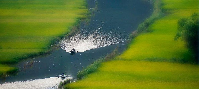 Mỗi nhịp chèo đưa thuyền đi, không gian dường như càng thêm rộng mở, xanh mướt và yên ả đến lạ thường. Mỗi nhịp chèo đưa thuyền đi, không gian dường như càng thêm rộng mở, xanh mướt và yên ả đến lạ thường.