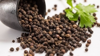 Giá hồ tiêu phục hồi sau giai đoạn trầm lắng do chính sách thuế của Mỹ