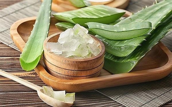 Nha đam không chỉ nổi tiếng trong làm đẹp mà còn là nguyên liệu tự nhiên giúp làm dịu và phục hồi da nứt nẻ