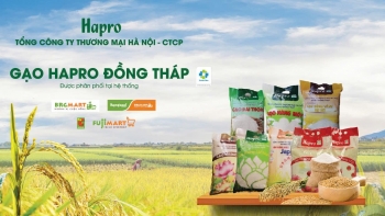 Gạo Hapro Đồng Tháp nhiều năm được vinh danh “Hàng Việt Nam được người tiêu dùng yêu thích”