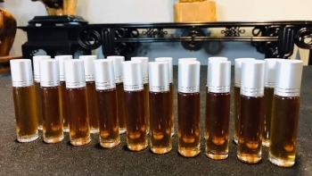 Tinh dầu bách xanh, dược liệu quý hiếm giữa đại ngàn