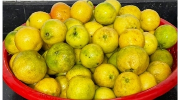 Chuyên gia giật mình trước trào lưu nước cốt chanh "chữa bách bệnh"