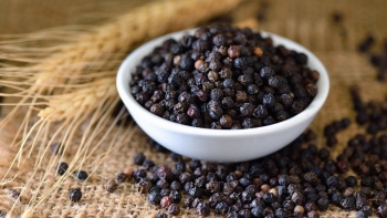 Xuất khẩu hồ tiêu có thể đối mặt với nhiều thách thức