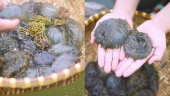 Độc lạ đặc sản bún sông chỉ có ở Đà Nẵng