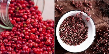 Giá tiêu chốt tuần giảm nhẹ, kỳ vọng khởi sắc sau 30/4