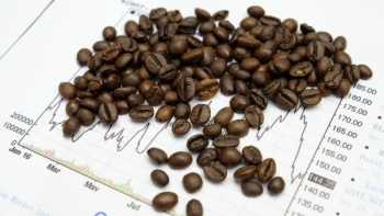 Giá cà phê quay đầu tăng, robusta thêm tới 165 USD/tấn