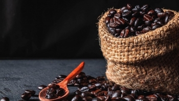 Thị trường cà phê hồi hộp đợi giá mới sau kỳ nghỉ dài