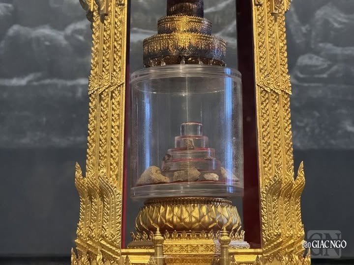 Xá lợi Đức Phật tại bảo tàng Ấn Độ. 