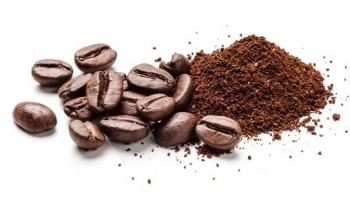 Giá cà phê duy trì ổn định, xuất khẩu tăng vọt hơn 51%