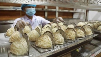 Ngành yến Việt Nam: Cơ hội và thách thức từ thị trường Trung Quốc