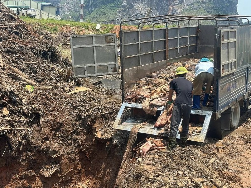 Tiêu hủy toàn bộ số thực phẩm bẩn bằng hình thức chôn lấp, bảo đảm vệ sinh môi trường theo quy định. Ảnh: Quốc Huy