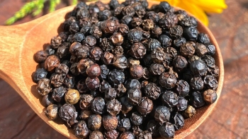 Giá hồ tiêu trong nước ổn định, xuất khẩu tăng mạnh nhờ giá bán cao