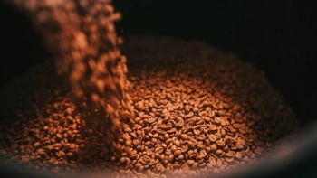 Thủ tướng chỉ đạo khơi thông điểm nghẽn, bứt phá xuất khẩu nông lâm thủy sản