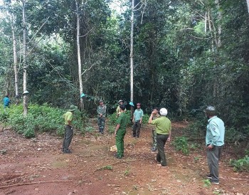 Khám phá thiên nhiên tuyệt đẹp qua du lịch sinh thái và giải trí