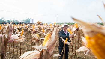 Nâng cao giá trị sản phẩm từ nền tảng khoa học công nghệ